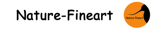 Schriftzug Logo e1748891136179